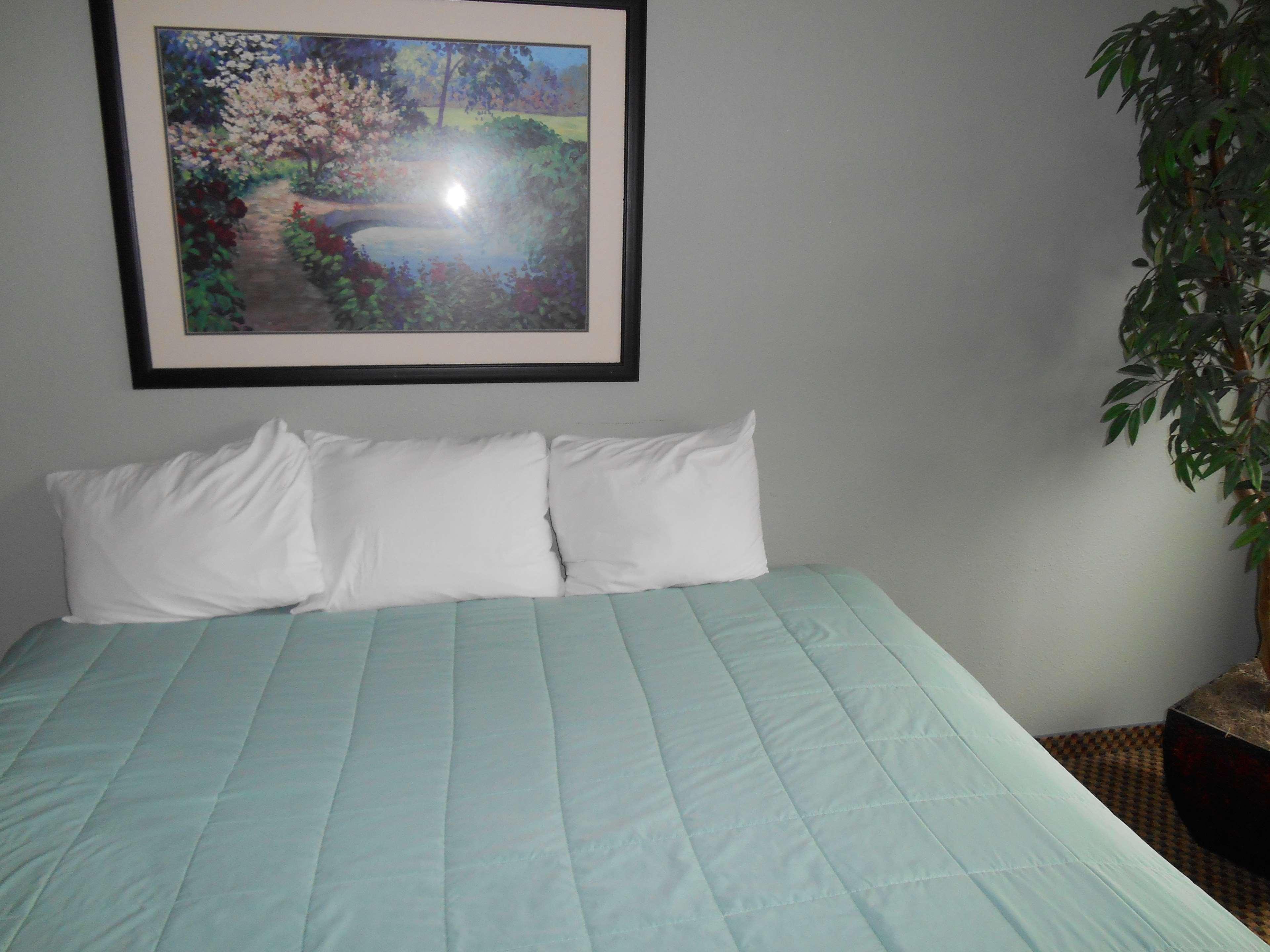 Guesthouse Inn & Suites Eugene/Springfield Zewnętrze zdjęcie